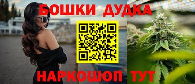хмурый Абакан