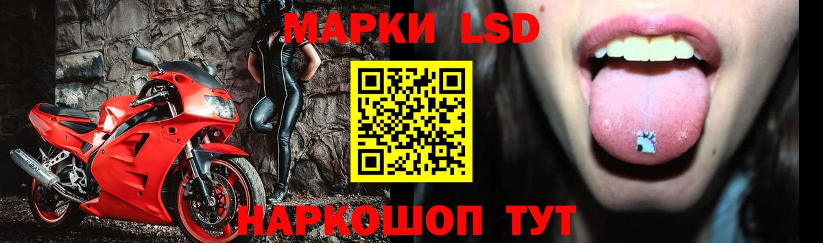 Лсд 25 экстази  LSD-25 экстази кислота  Алейск  Вход с VPN  Лсд 25 экстази кислота 