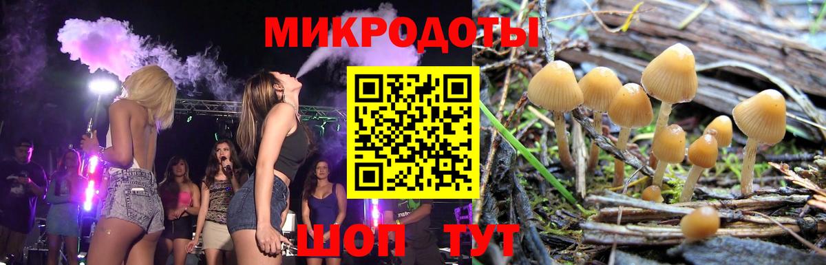 Алейск  Псилоцибиновые грибы мухоморы  Вход с VPN  Галлюциногенные грибы GOLDEN TEACHER 