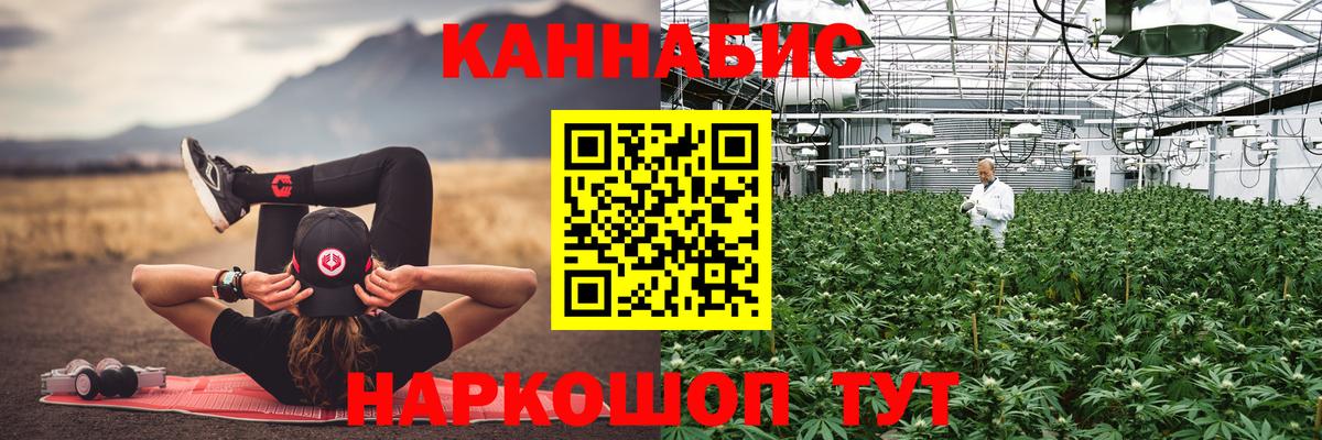 Бошки марихуана Ganja  Бошки марихуана AK-47  Алейск  Вход с VPN 